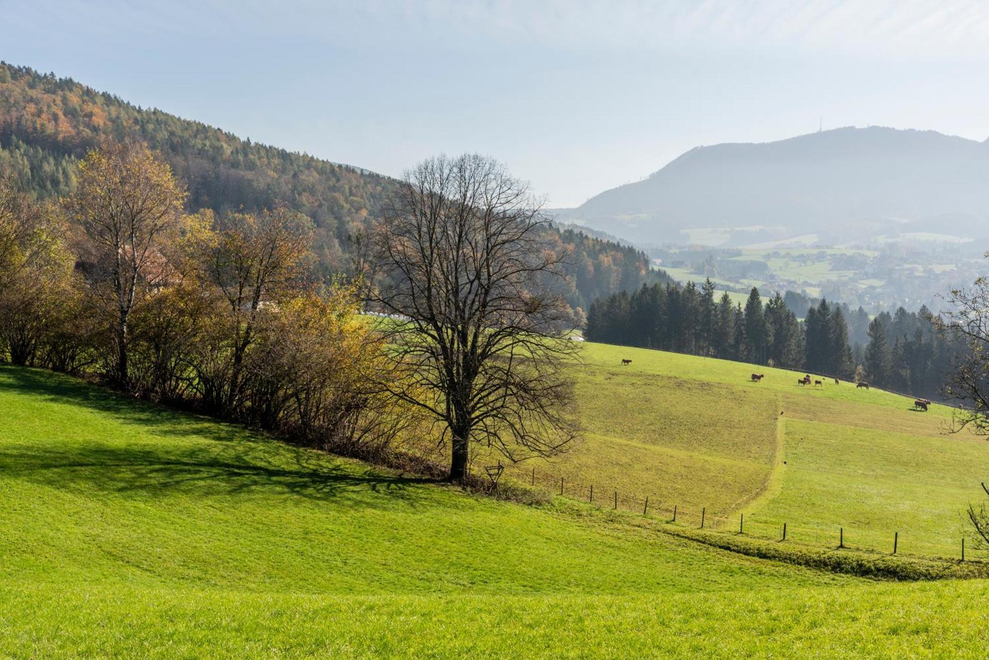 Ferienwohnung Am Labyrinth Semriach Dış mekan fotoğraf