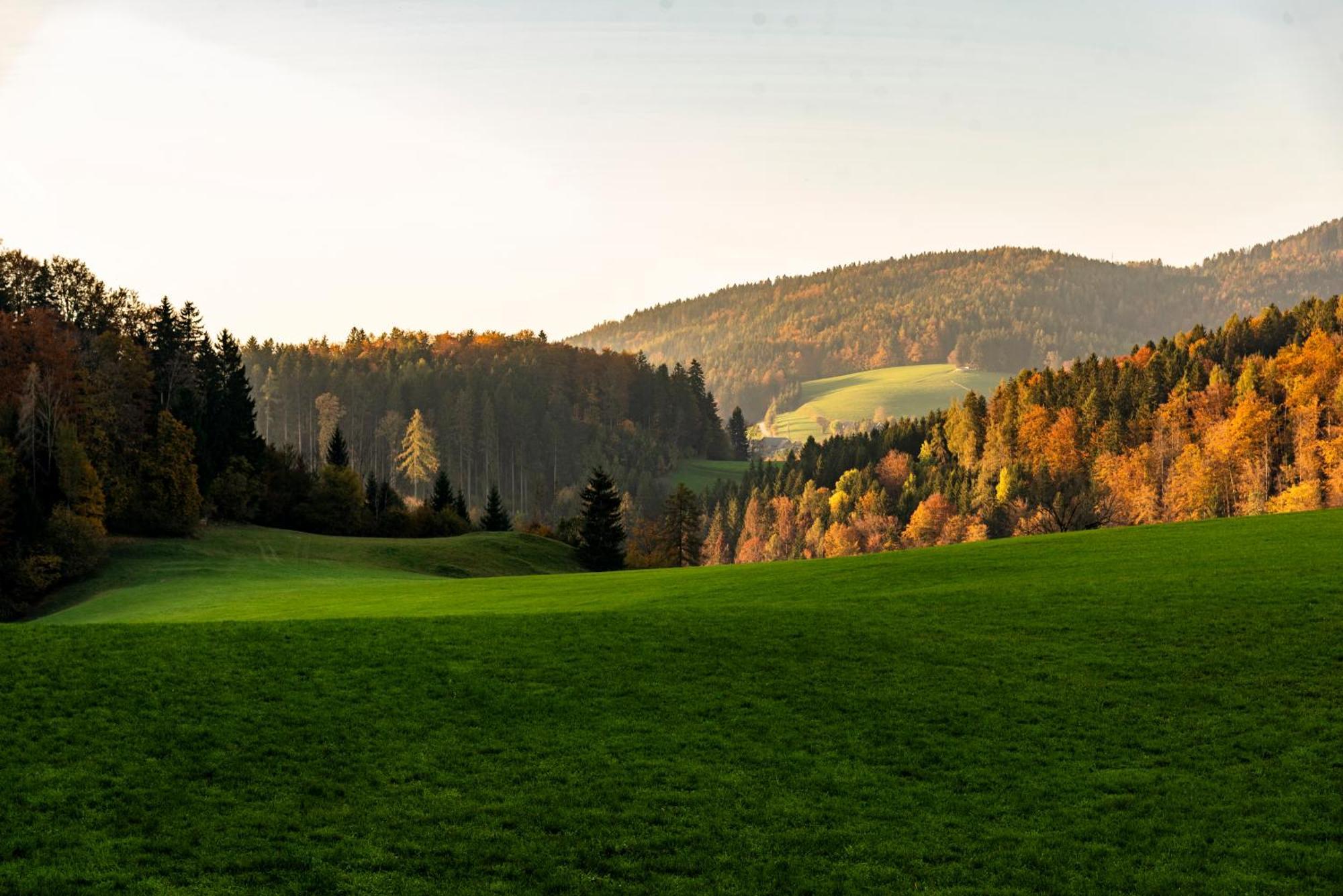 Ferienwohnung Am Labyrinth Semriach Dış mekan fotoğraf